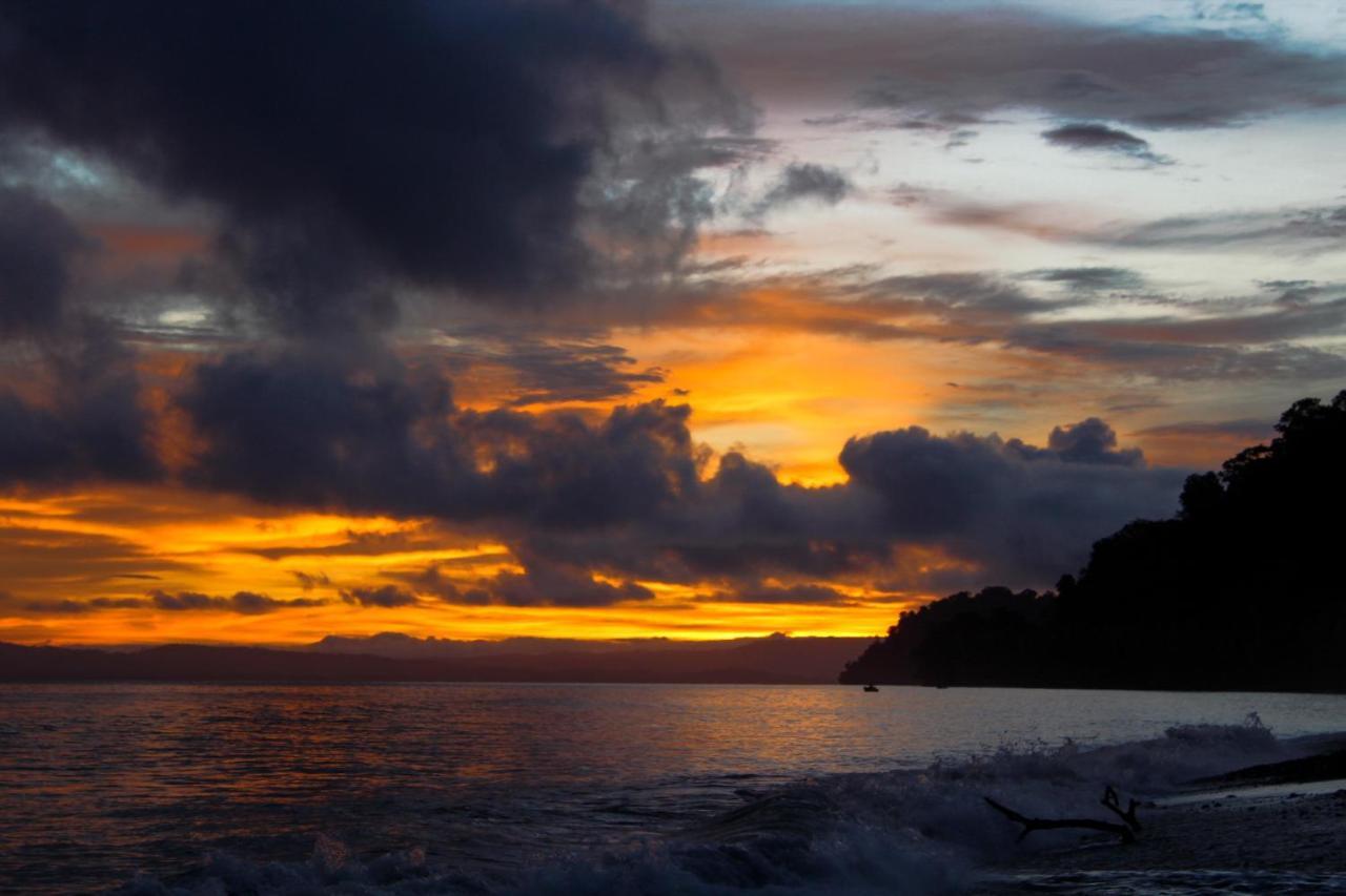 Вилла Dolphin Quest Costa Rica Piedras Blancas Экстерьер фото