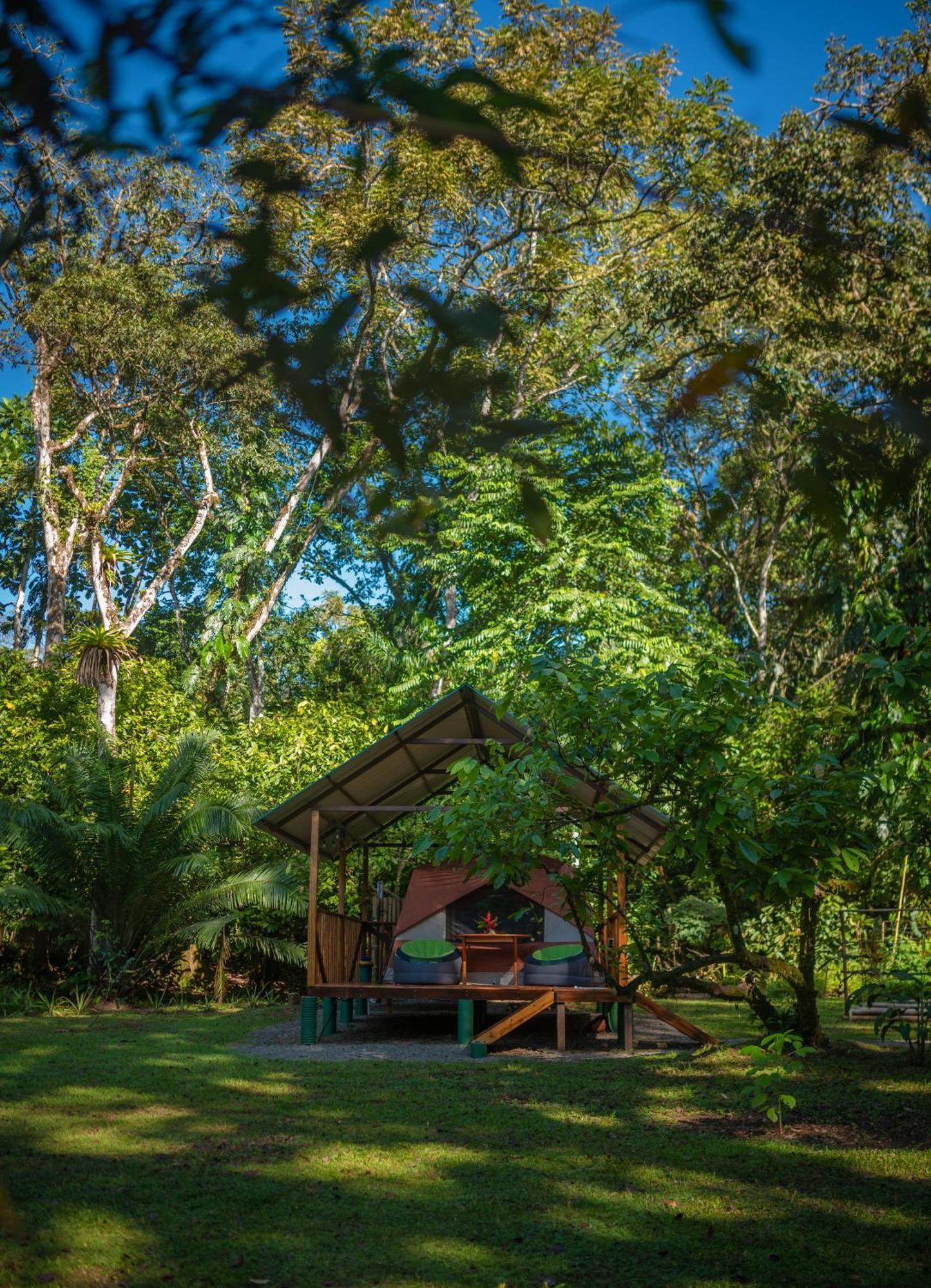 Вилла Dolphin Quest Costa Rica Piedras Blancas Экстерьер фото